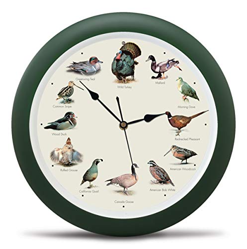 Wild Game Birds of North America Wall Sound Clock