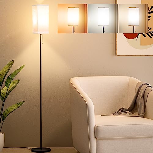 Modern Tall Floor Lamp with Color Temperature Control