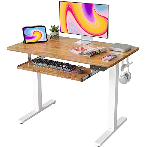 FEZIBO Electric Standing Desk with Keyboard Tray