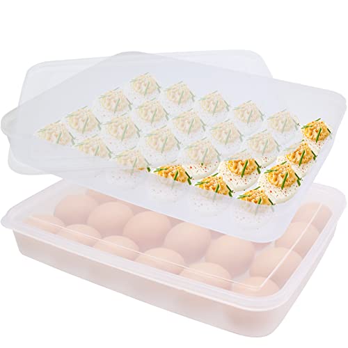 Clear Egg Holder Storage Container