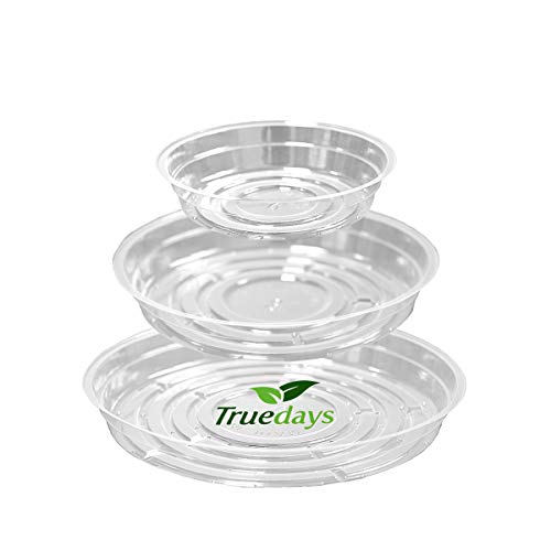 Clear Plant Saucers Flower Pot Tray