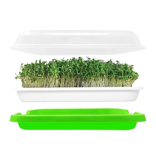Seed Sprouting Tray - Sprouts and Microgreens Growing Kit
