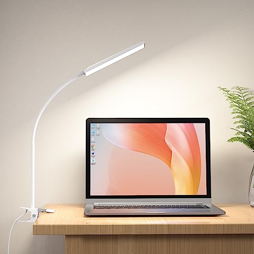 RAOYI LED Desk Lamp