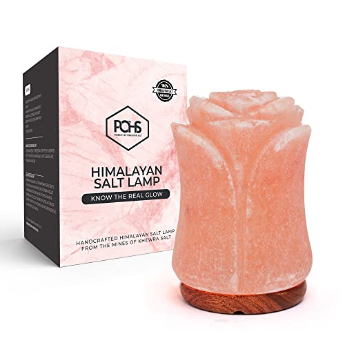 POHS Flower Shape Himalayan Pink Salt Lamp