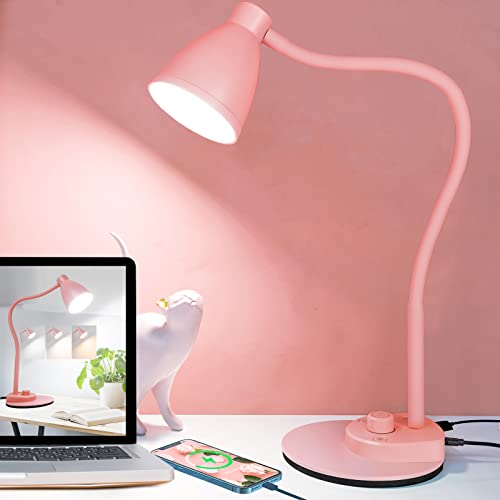 Cute Desk Lamp with USB Charging Port