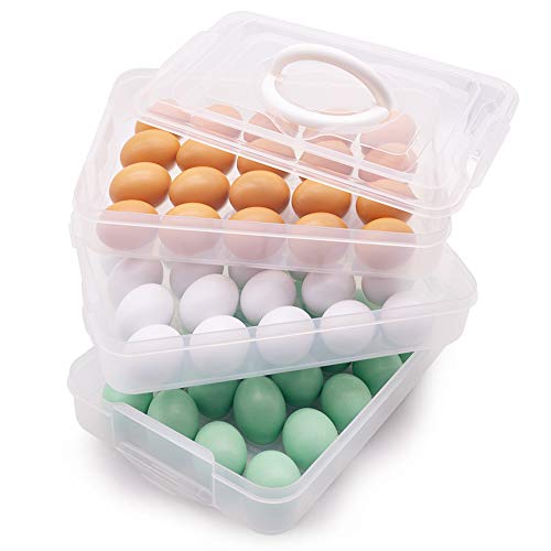 HANSGO Egg Holder with Lid for 60 Eggs