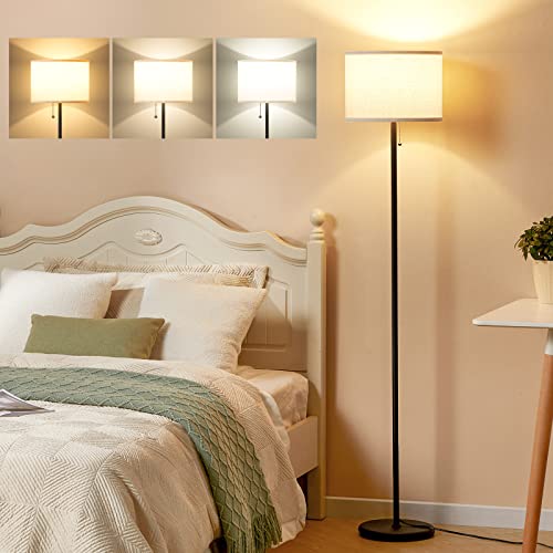 Ambimall Floor Lamp with 3 Color Temperature LED