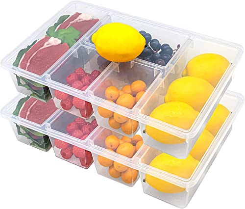 Eanpet Veggie Tray with Lid 5 Compartment Food Container