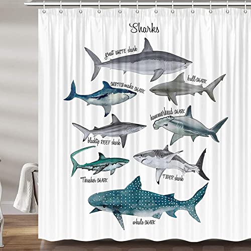 Ocean Themed Fish White Background Boys Shower Curtain
