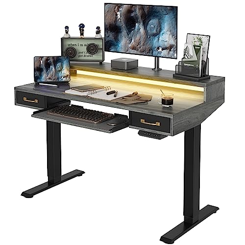 FEZIBO Electric Standing Desk