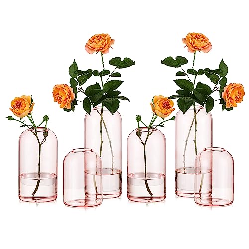 Glasseam Bud Vase Set of 6