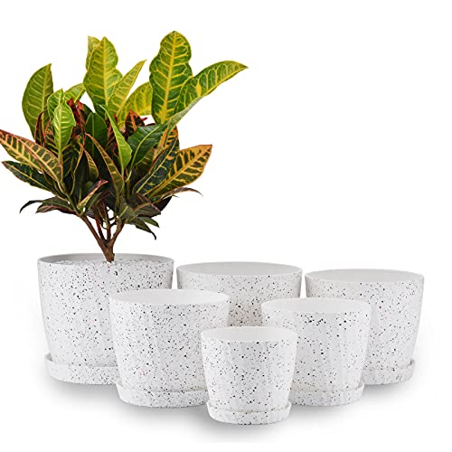 Faxinny Set of 6 Plastic Planters with Saucers
