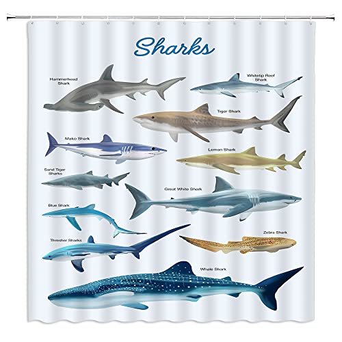 ZKJSMGS Shark Shower Curtain