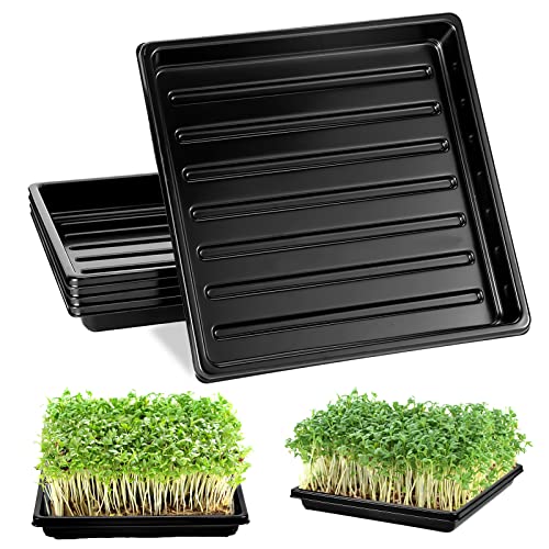 Versatile Garden Growing Trays for Healthy Plant Growth