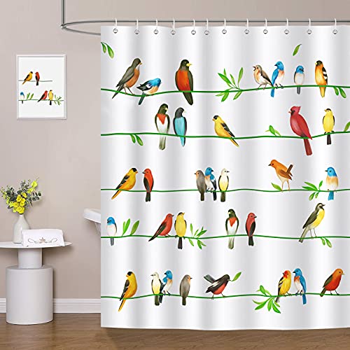 Colorful Bird Shower Curtain