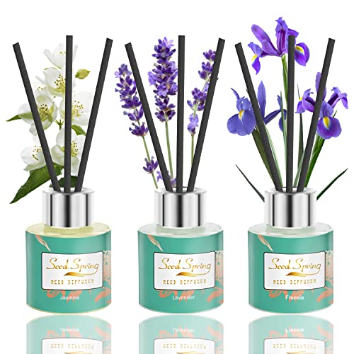 Seed Spring Reed Diffuser Set