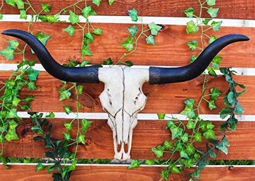 Longhorn Steer Cow Skull Wall Hanging Sculpture