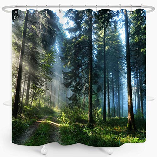 Trees Forest Sunlight Shower Curtain