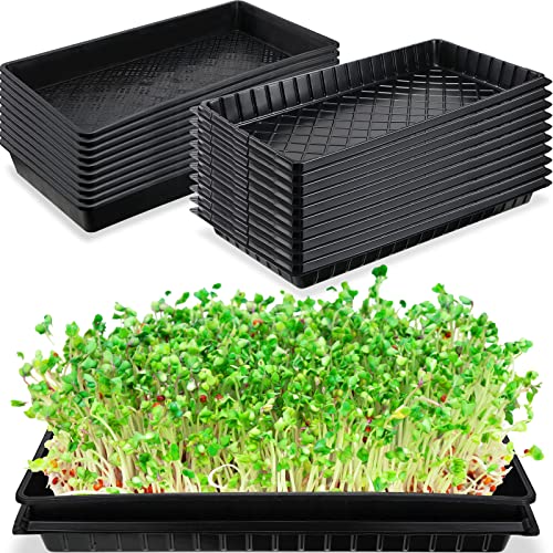 10 Set Microgreens Growing Trays Seed Sprouter Tray