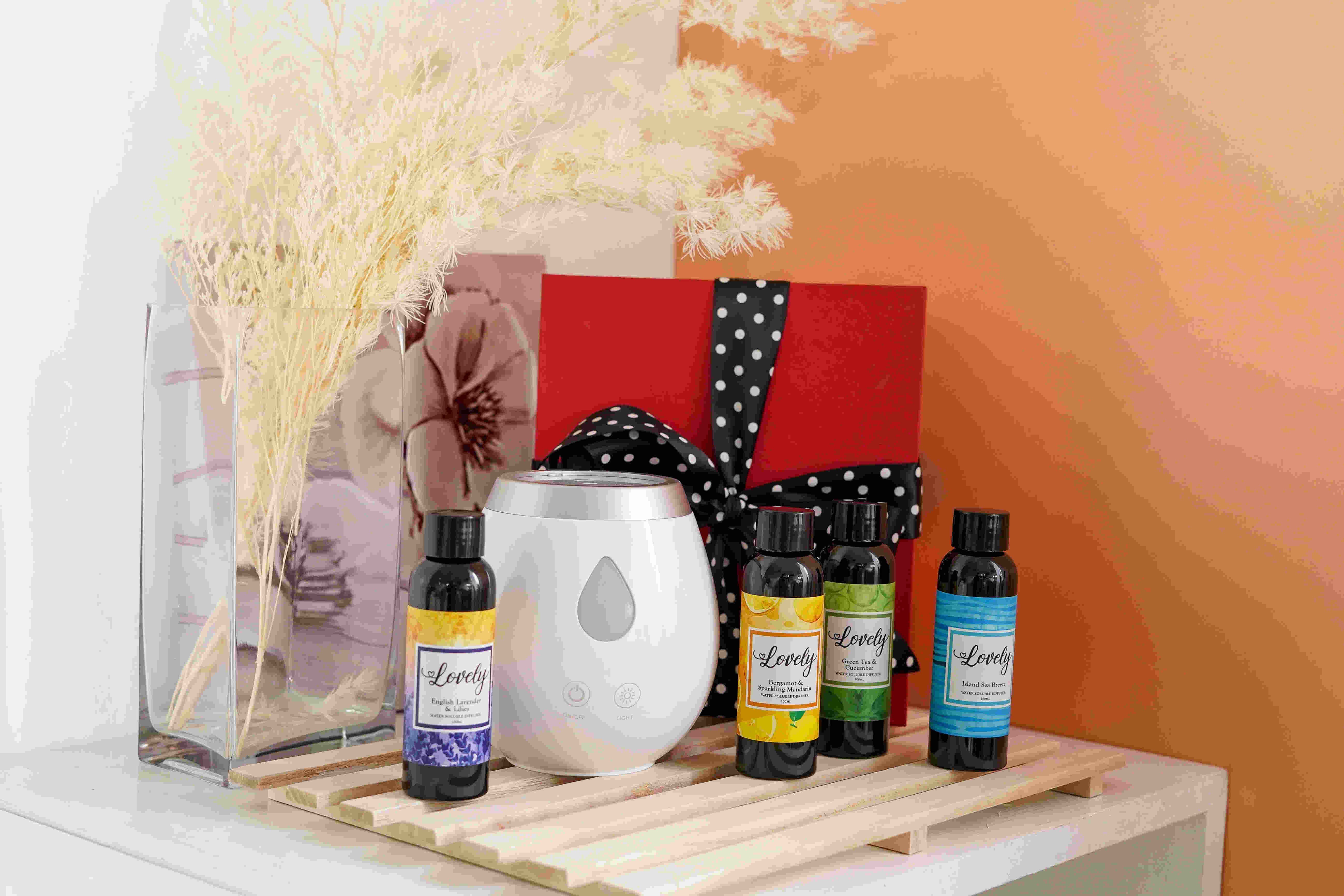 8 Incredible Aroma Diffuser Gift Set for 2024