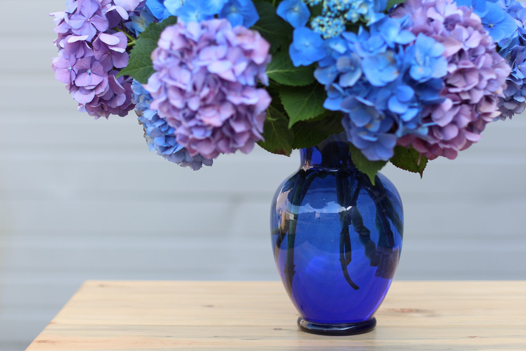 8 Unbelievable Blue Vase for 2024