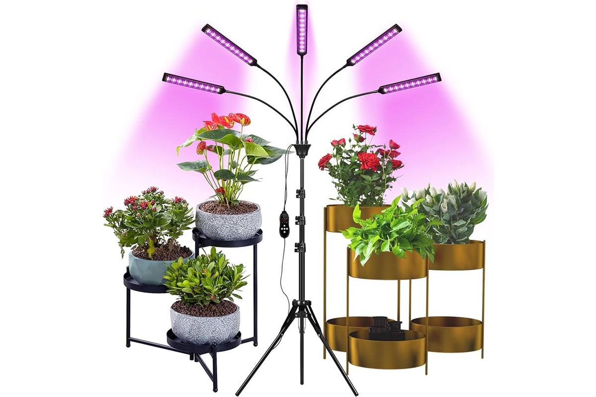 9 Amazing Grow Lamp For Indoor Plants for 2023