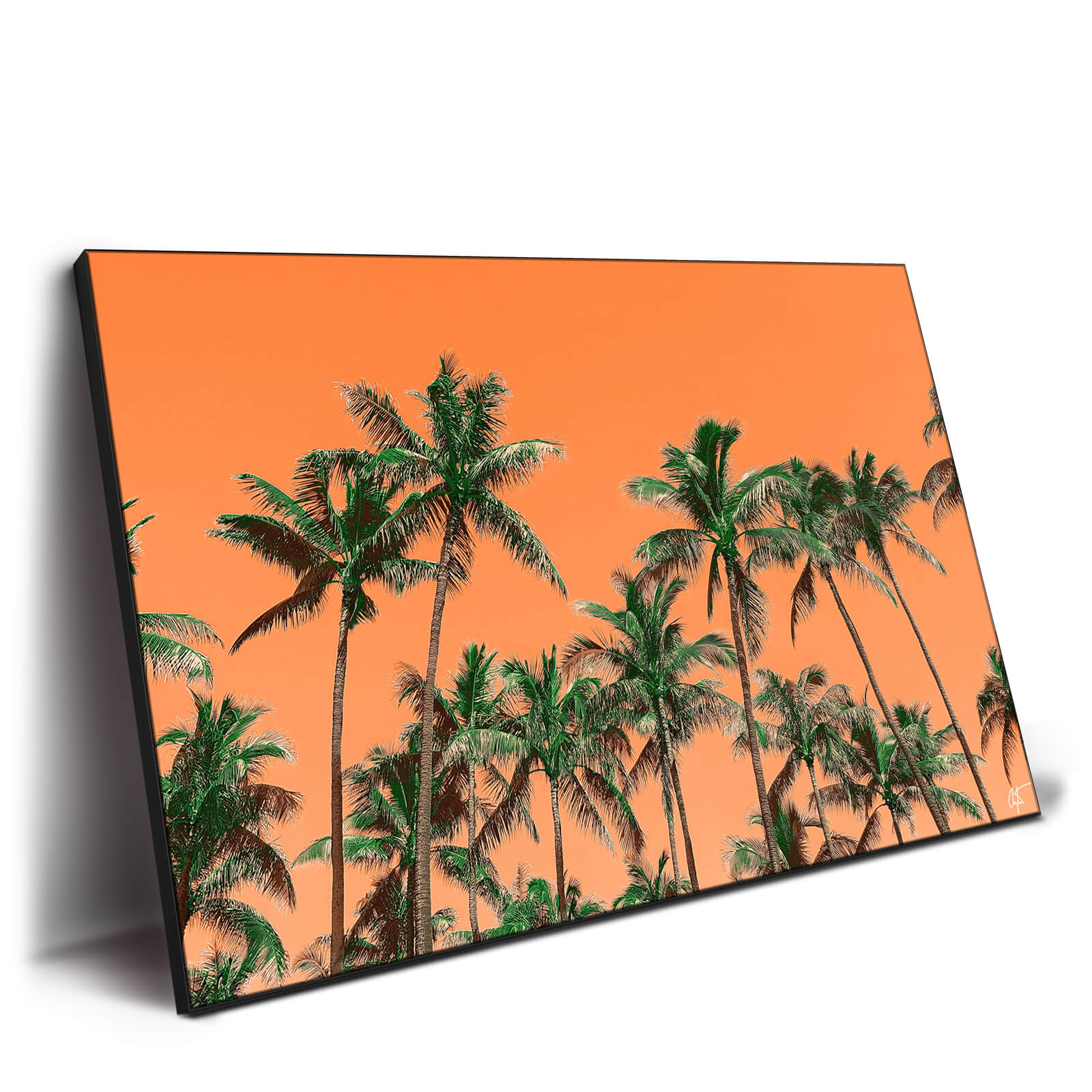 9 Best Palm Tree Wall Art for 2024