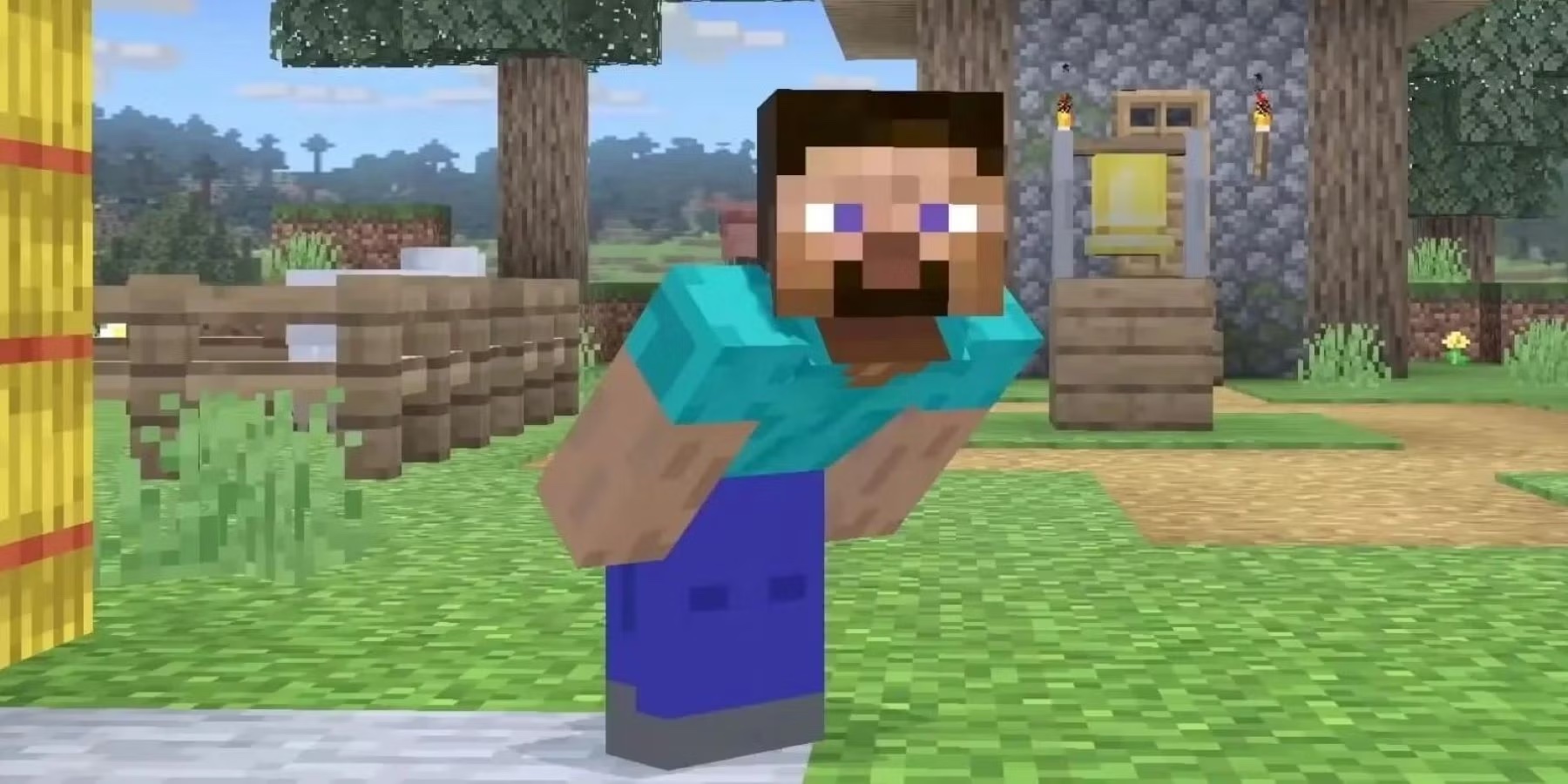 How Tall Is Steve From Minecraft?