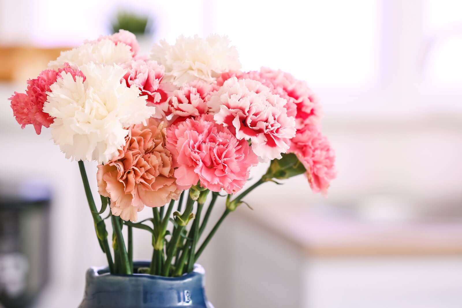 How To Care For Carnations In A Vase