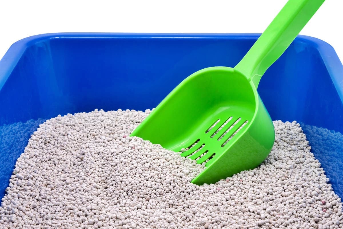 How To Clean A Cat Litter Tray