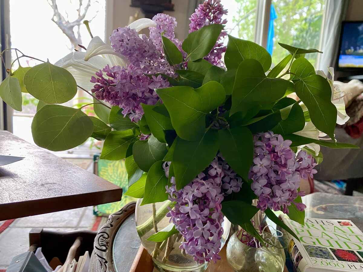 How To Make Lilacs Last In A Vase