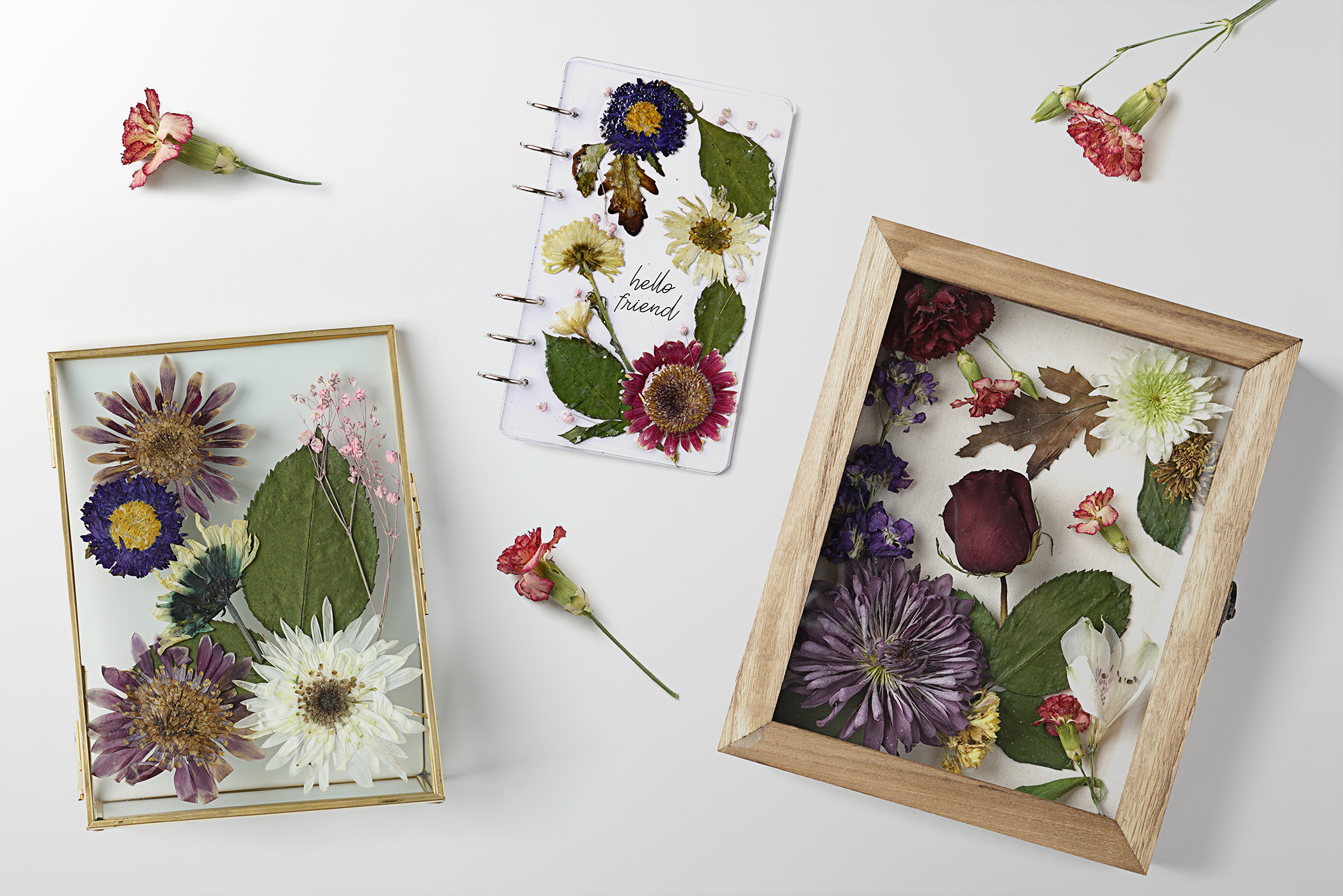 How To Preserve Flowers In A Picture Frame?