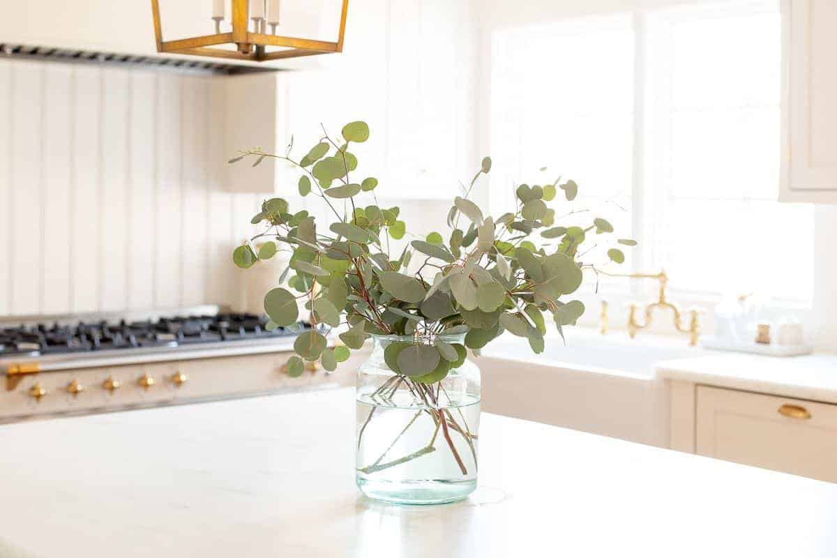 How To Put Eucalyptus In A Vase