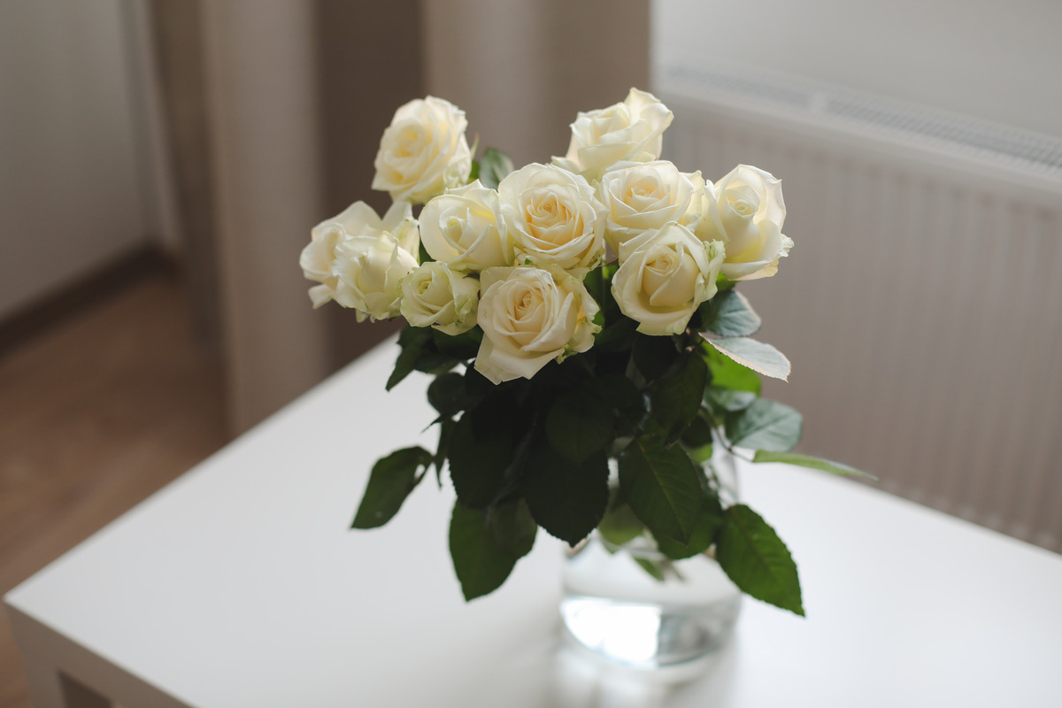 How To Revive Roses In Vase