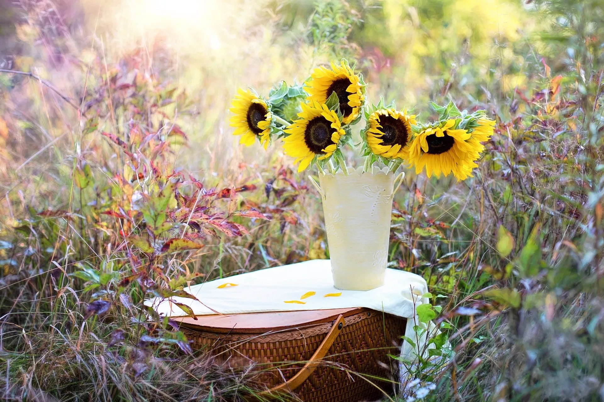 how-to-stop-sunflowers-drooping-in-vase
