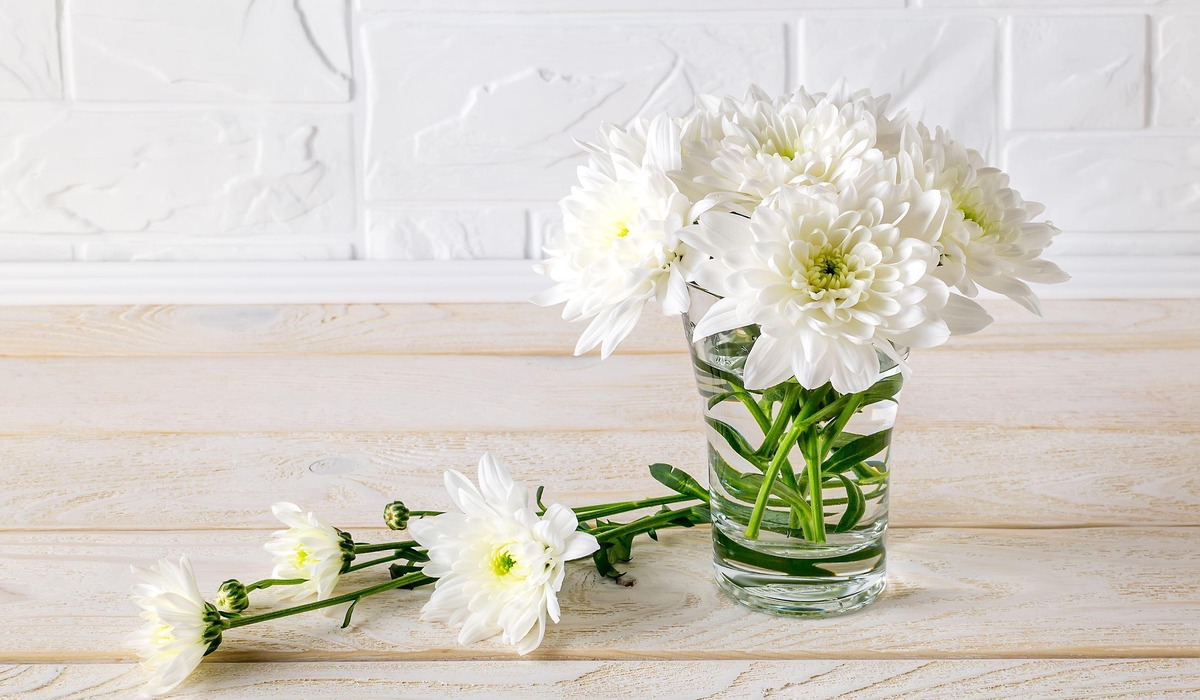 How To Take Care Of Daisies In A Vase