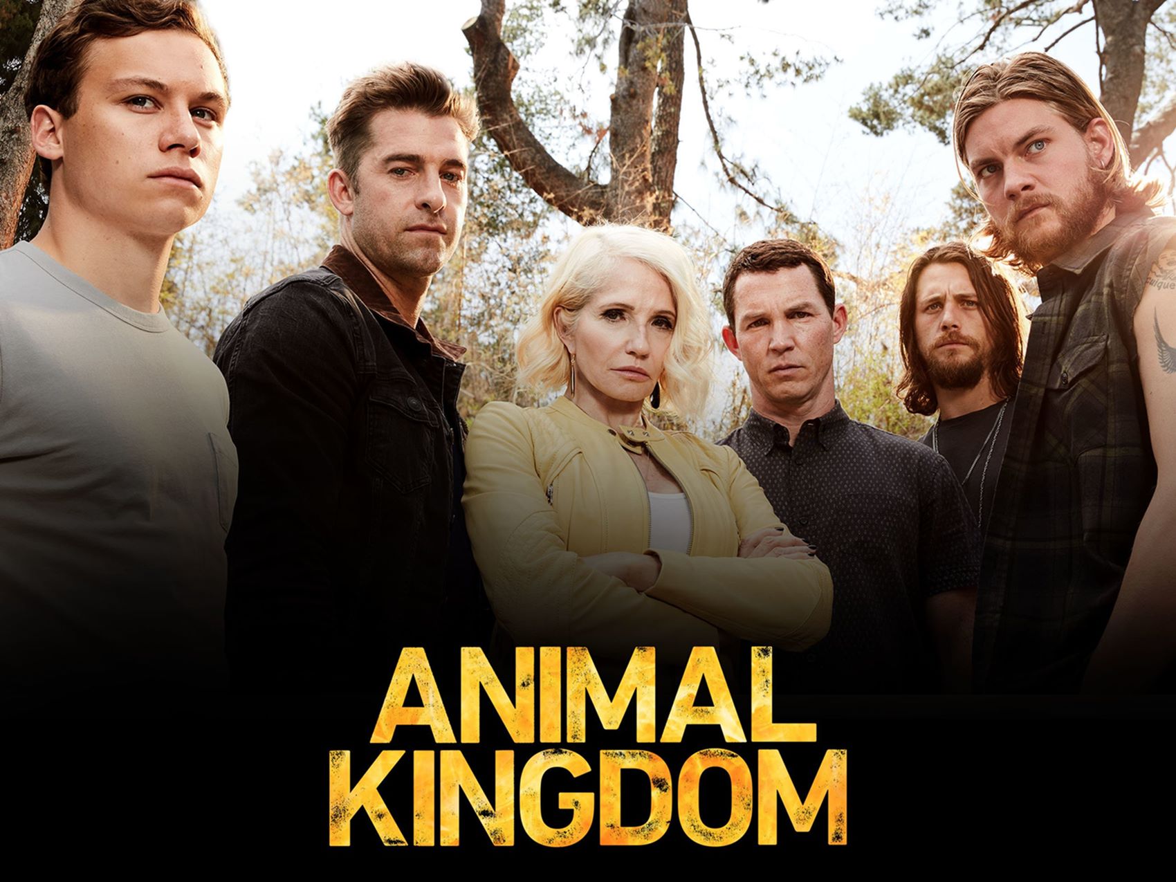 How To Watch Animal Kingdom Season 6
