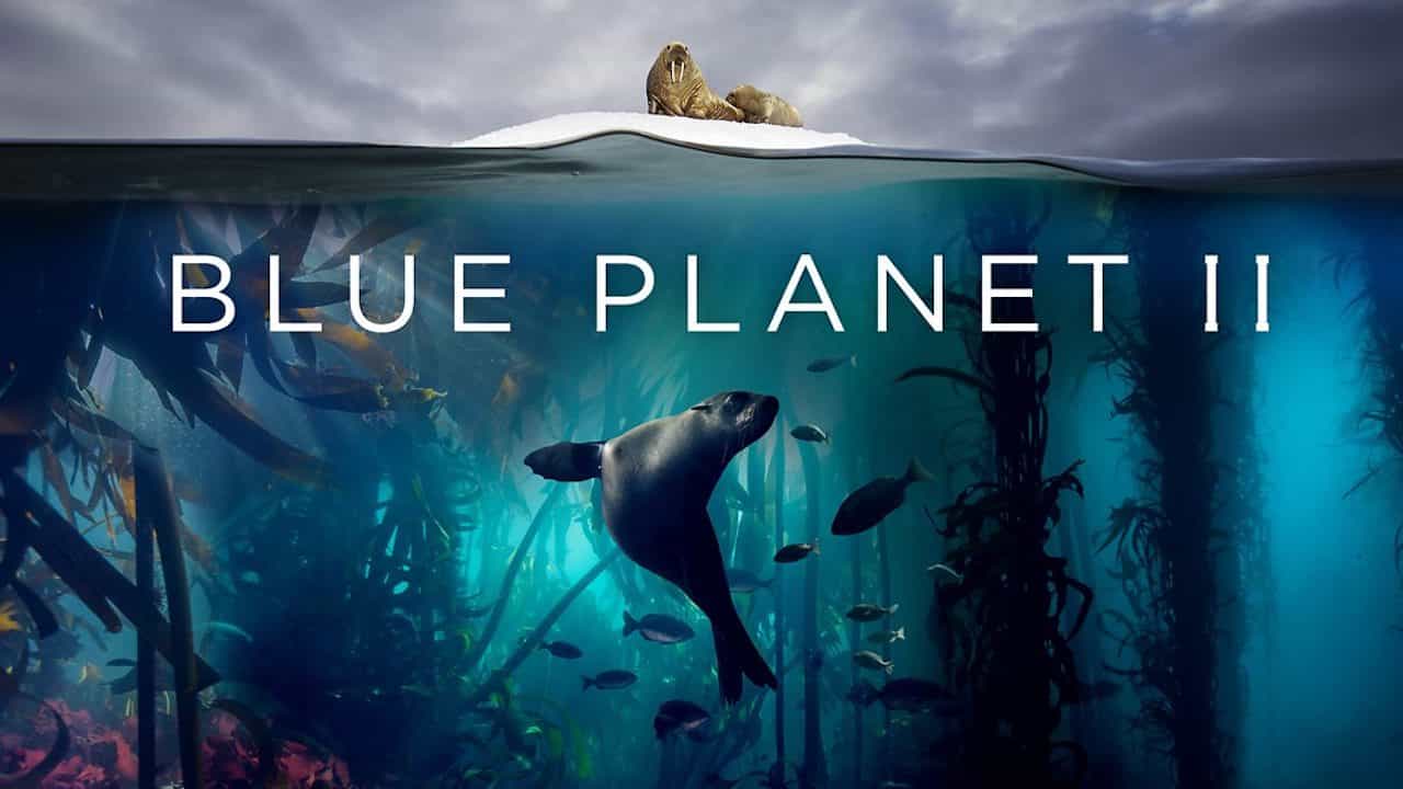 How To Watch Blue Planet 2 In US