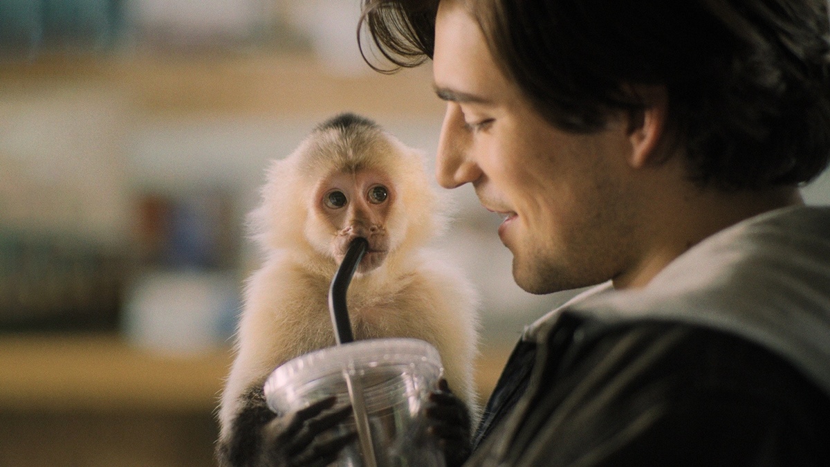 how-to-watch-gigi-and-nate