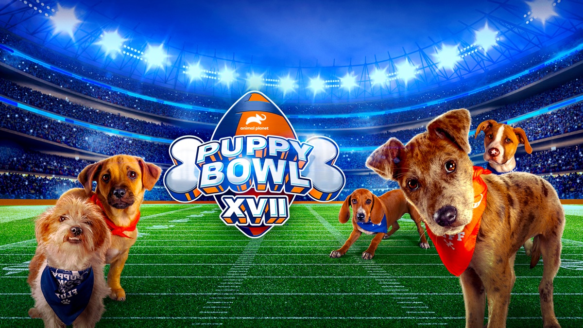 How To Watch The Puppy Bowl
