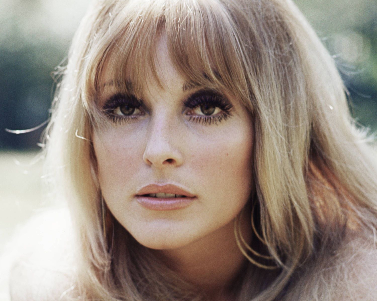 infamous-door-from-sharon-tate-murder-house-auctioned-for-127000
