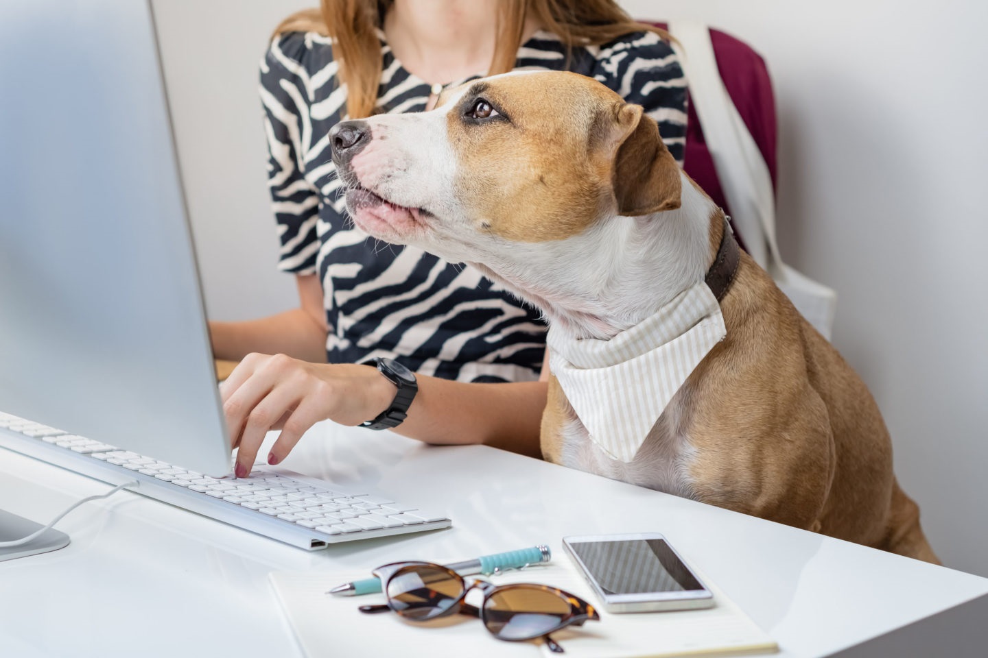 Top Websites For Pet Owners On The Internet