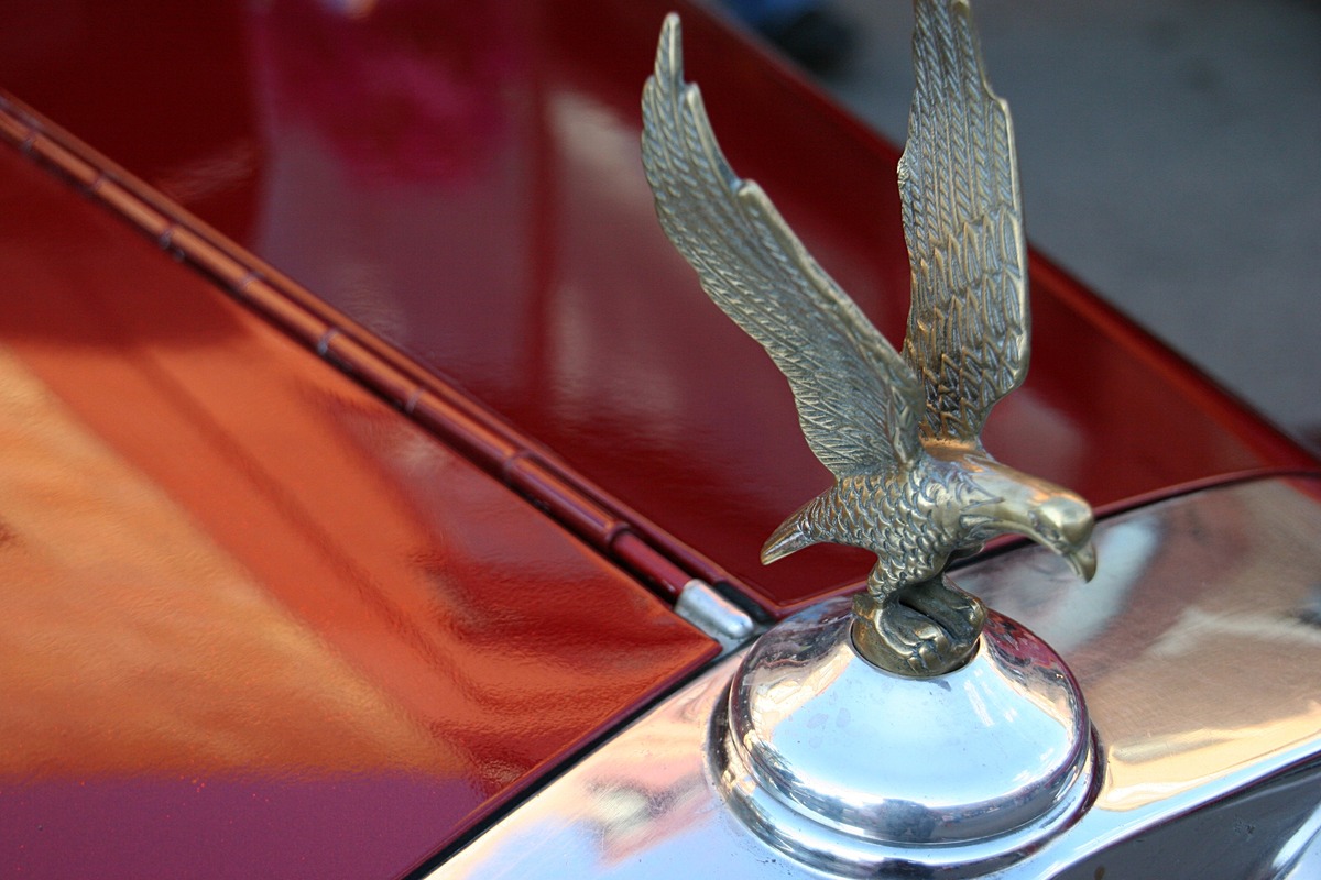 What Car Has A Bird Hood Ornament