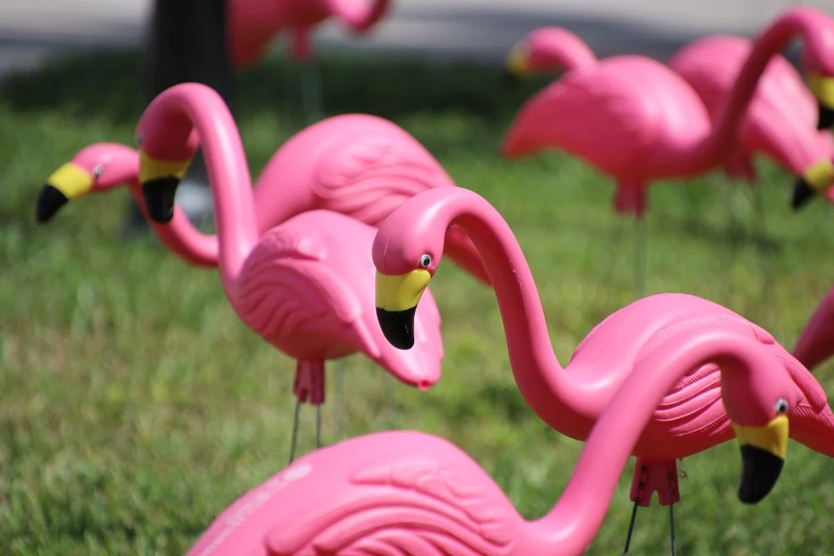 Who Invented The Pink Flamingo Lawn Ornament