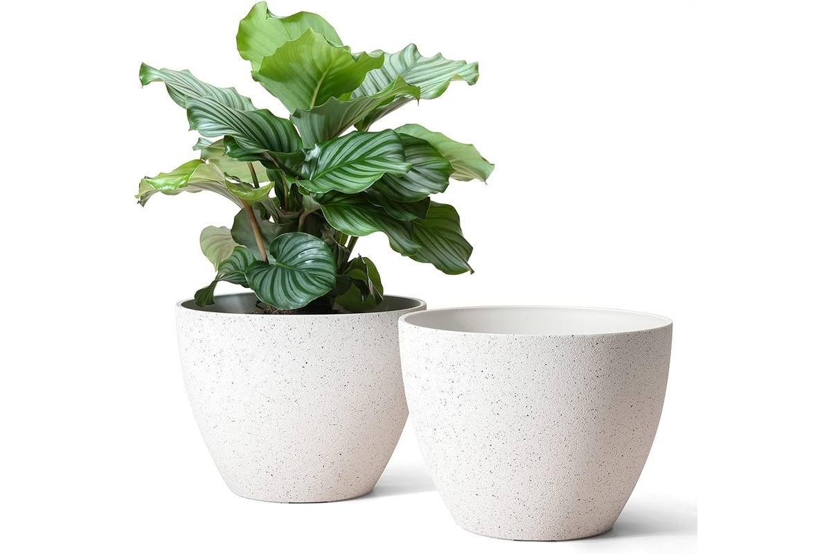10 Amazing Indoor Plant Pots for 2024