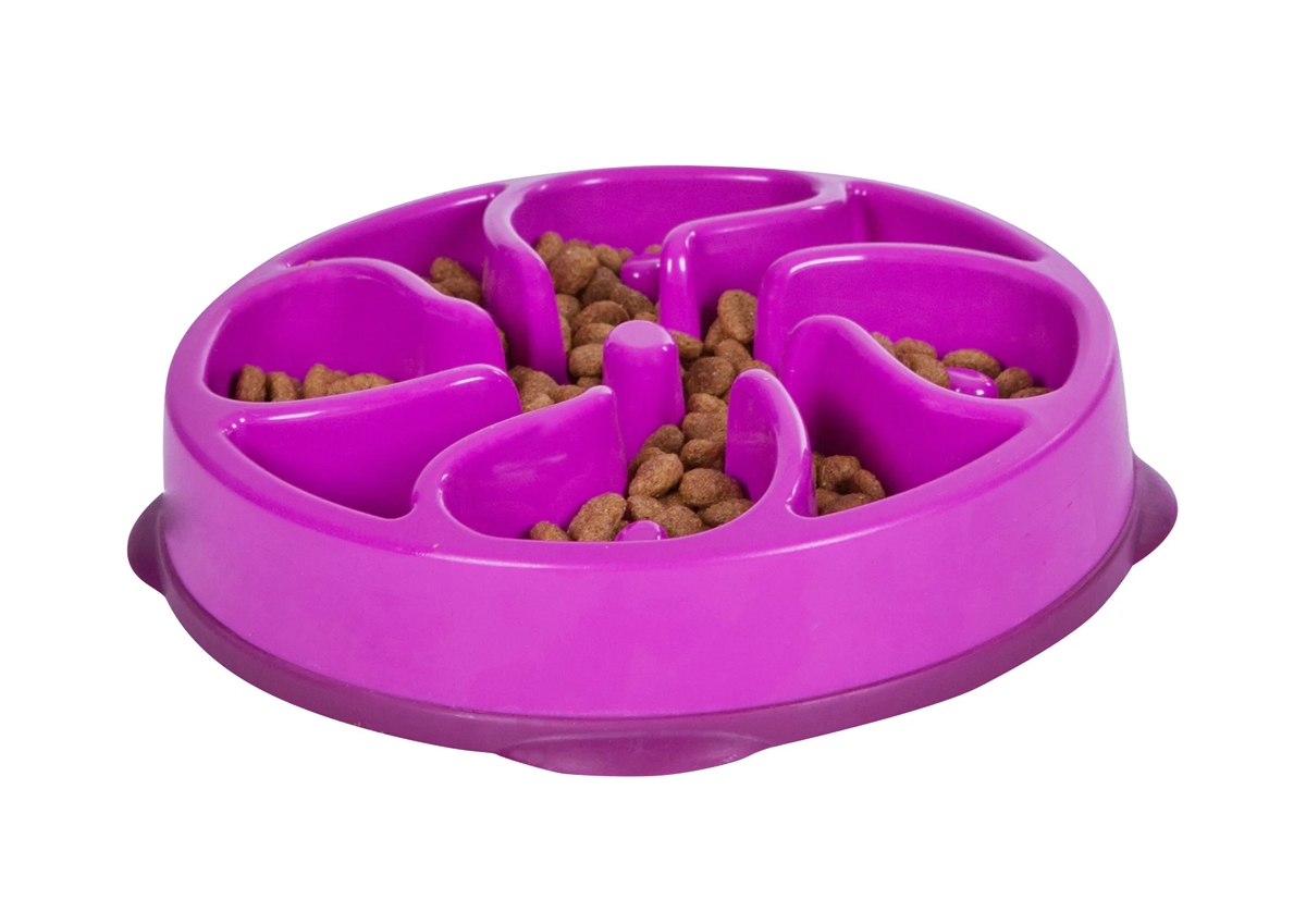 10 Best Slow Feed Dog Bowl for 2023