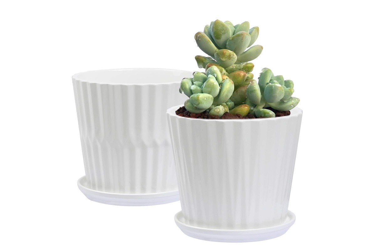 10-incredible-ceramic-plant-pot-for-2023