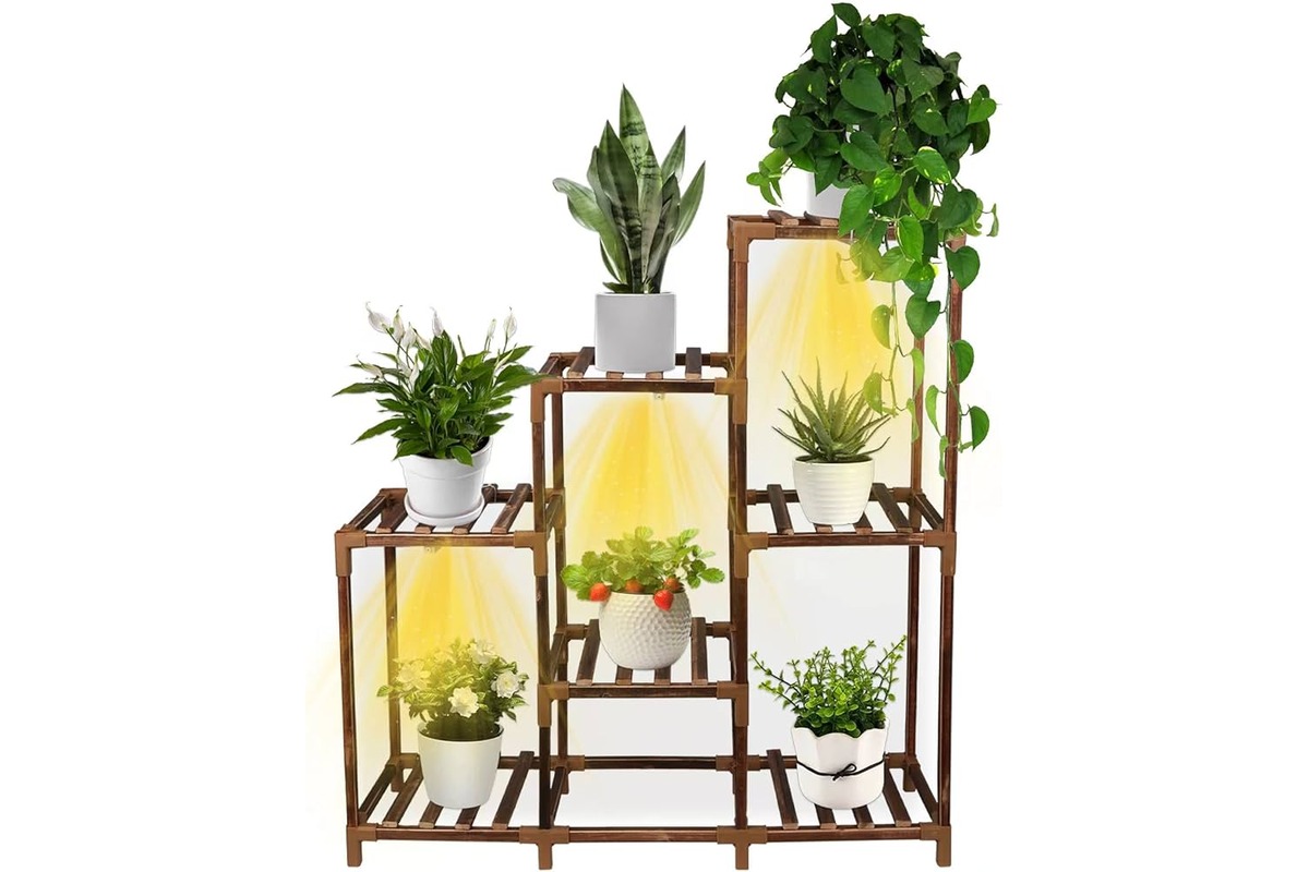 10 Incredible Plant Shelves for 2023