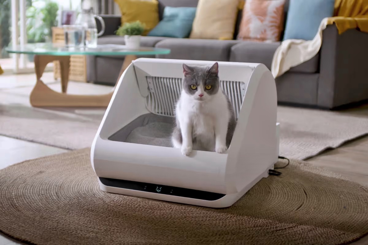 10 Unbelievable Automatic Litter Box Self Cleaning for 2024