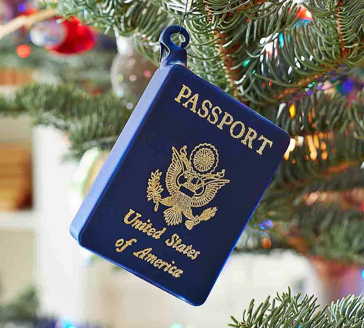 10 Unbelievable Passport Ornament for 2023